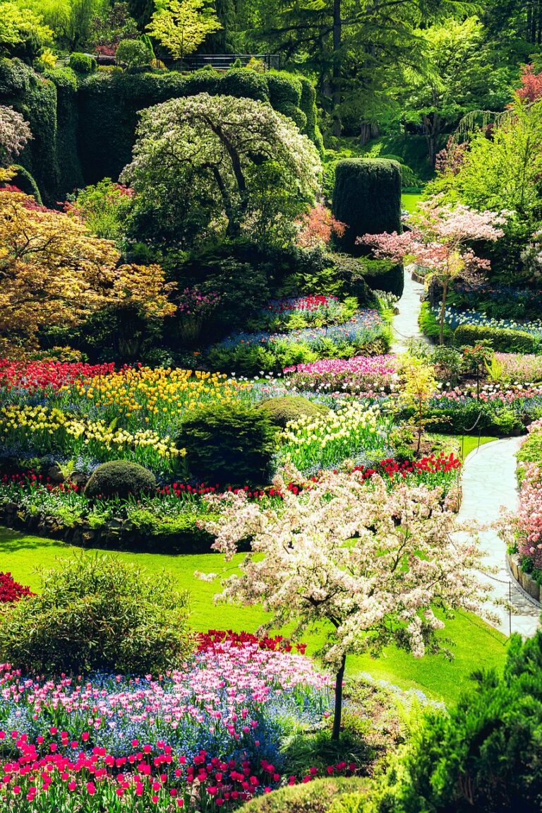 butchart gardens, flowers, flower background-5144190.jpg